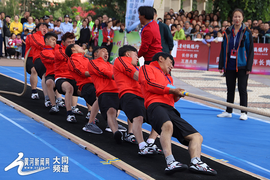 乒乓球男团直播，CCTV5的精彩瞬间与激情碰撞