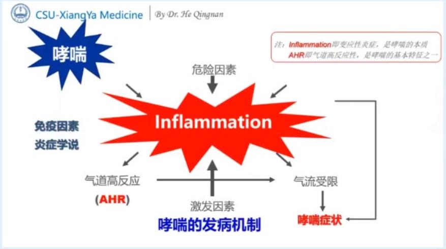 哮喘病，探索根治之路