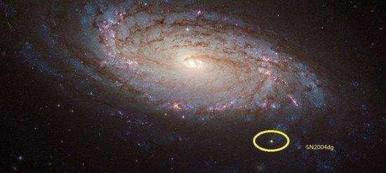 探索神秘，3D八卦图与宇宙奥秘的深度对话