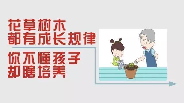 家庭教育，中国教育电视台1套的使命与未来展望