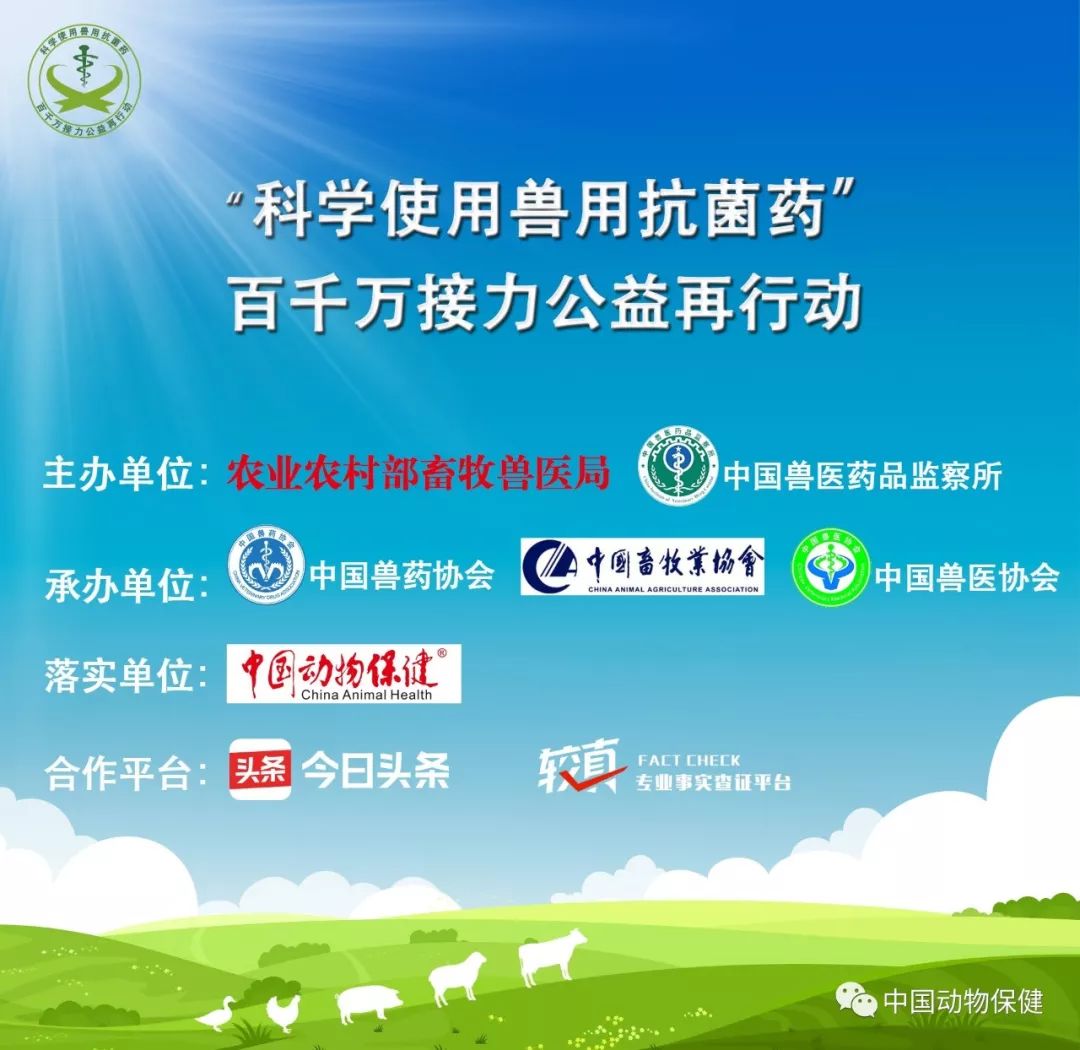 爱在地球，共筑和谐——世界动物日公益广告倡议书