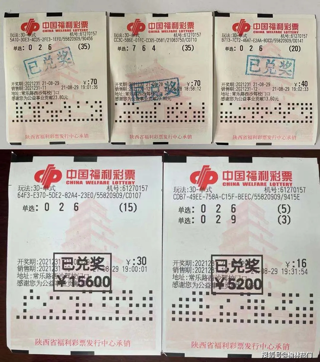 福利彩票3D图谜九，解密数字背后的幸运之道