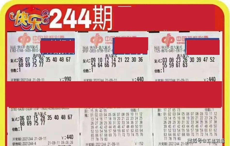 牛票票今日晒票晒单，揭秘彩票背后的幸运与智慧