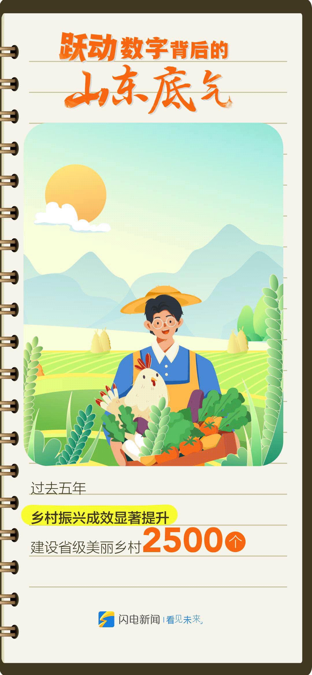3D专家今日精选号码，揭秘数字背后的奥秘