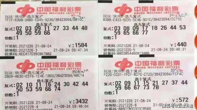 澳门今晚必中一肖一码香港，理性与娱乐的平衡