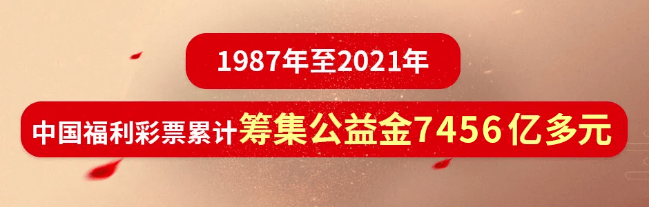 福利彩票双色球2022132，梦想与希望的交汇点