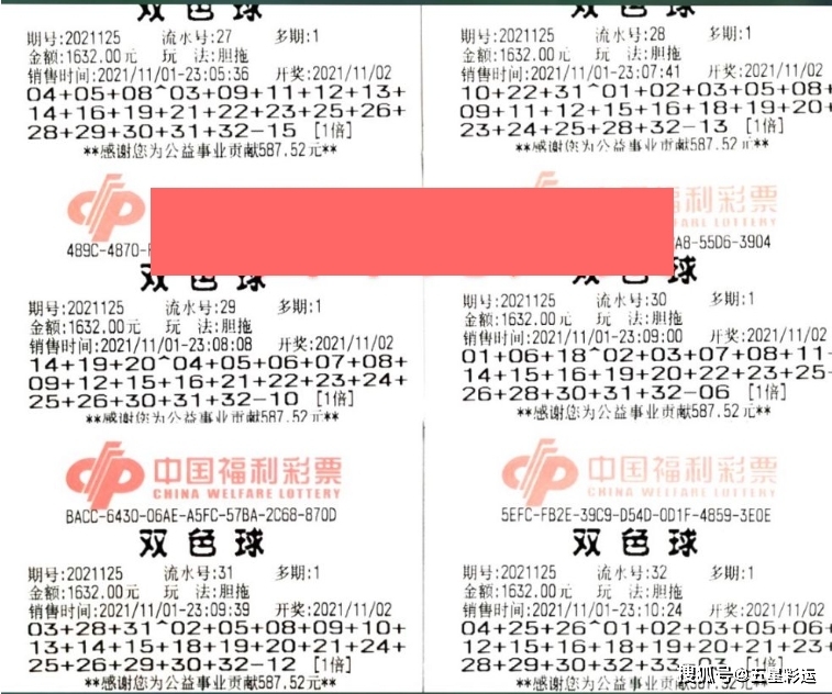 揭秘双色球3021031期开奖号码，概率与幸运的碰撞