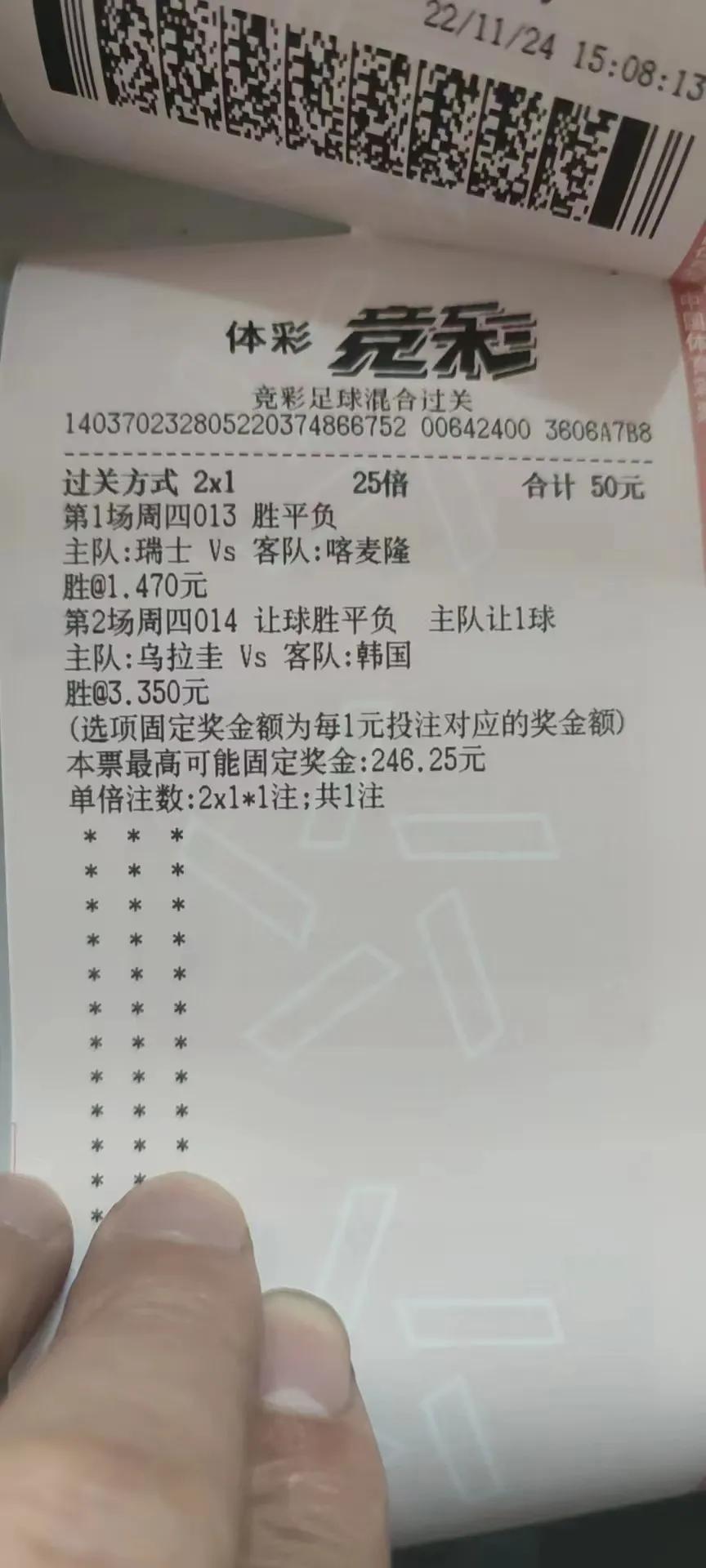 体育彩票，梦想与激情的碰撞—世界杯冠军的神秘力量