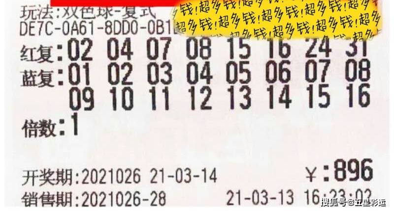 探索双色球模拟下注，理性与乐趣的平衡