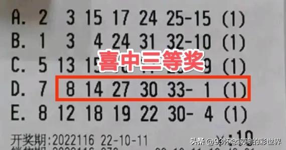 复式10+1中奖5个号，揭秘彩票大奖的惊喜与期待