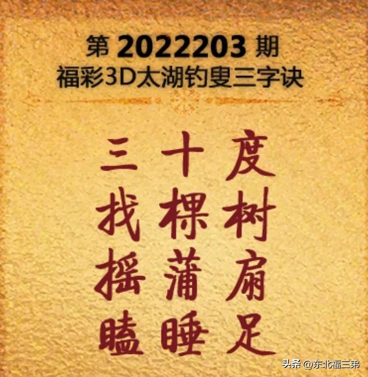 智慧与乐趣