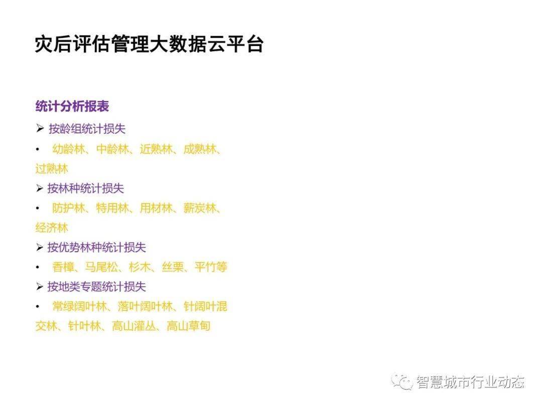 P3牛彩网字谜，解密数字背后的智慧与乐趣