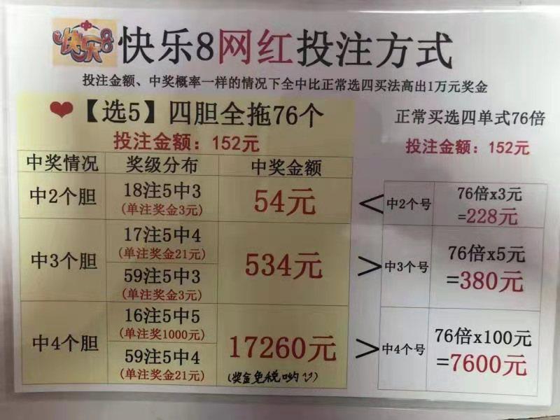 快乐8中奖号码结果查询，解锁幸运的秘密