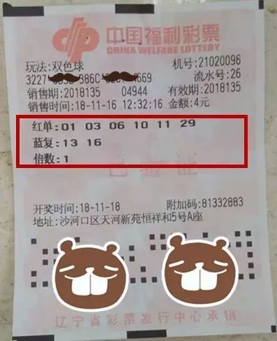 揭秘中国体育彩票双色球中奖查询，从选号到兑奖的全面指南