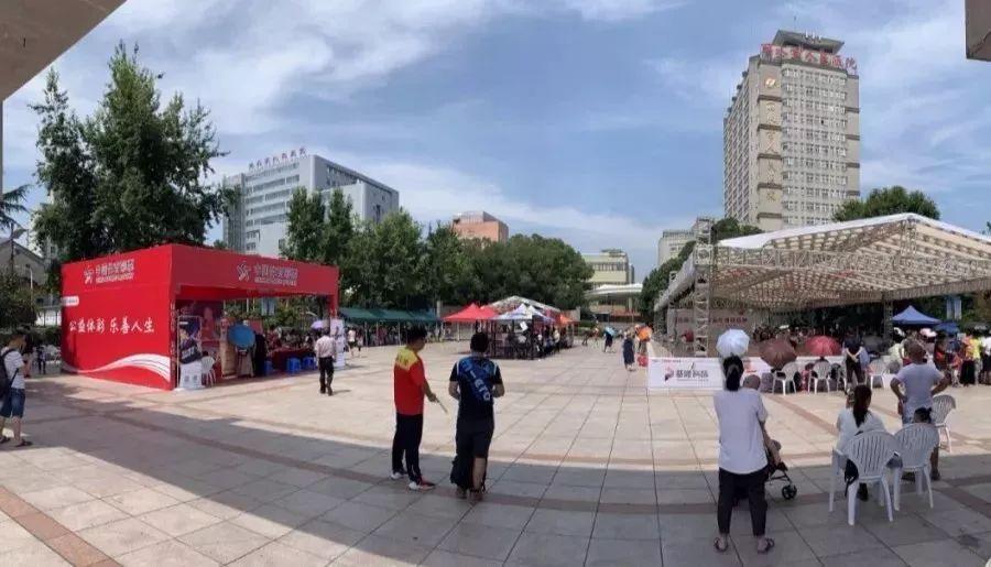 彩票的多样世界，全面解析彩票种类与玩法