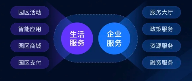 七星开奖结果牛彩网查询，揭秘数字背后的幸运与智慧