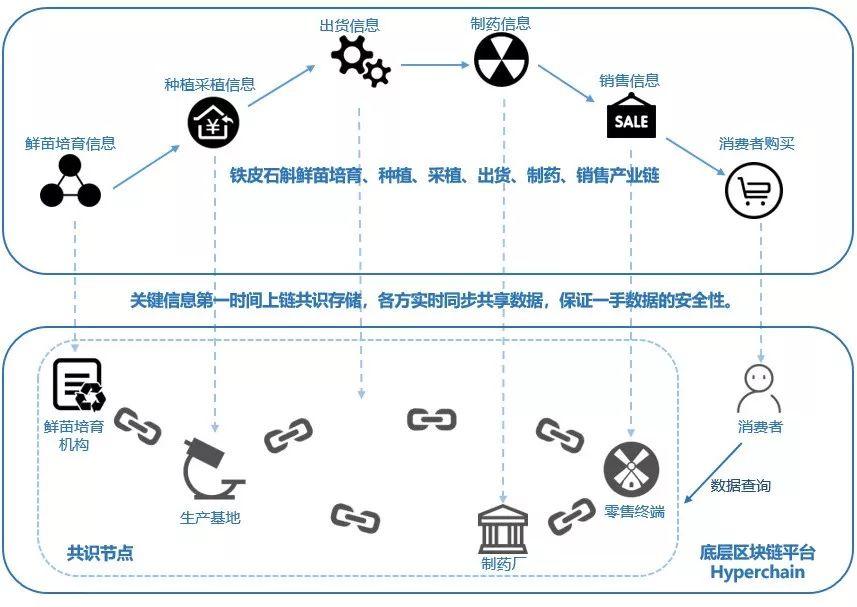 智采平台，重塑供应链管理的未来