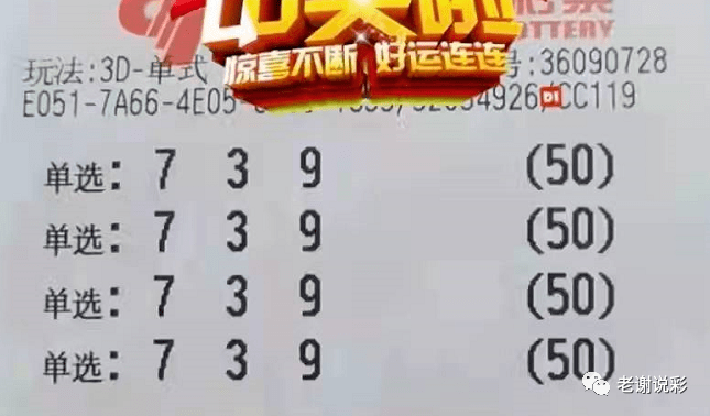 今日3D字谜解析，揭秘3D一句定三码与和值3的奥秘