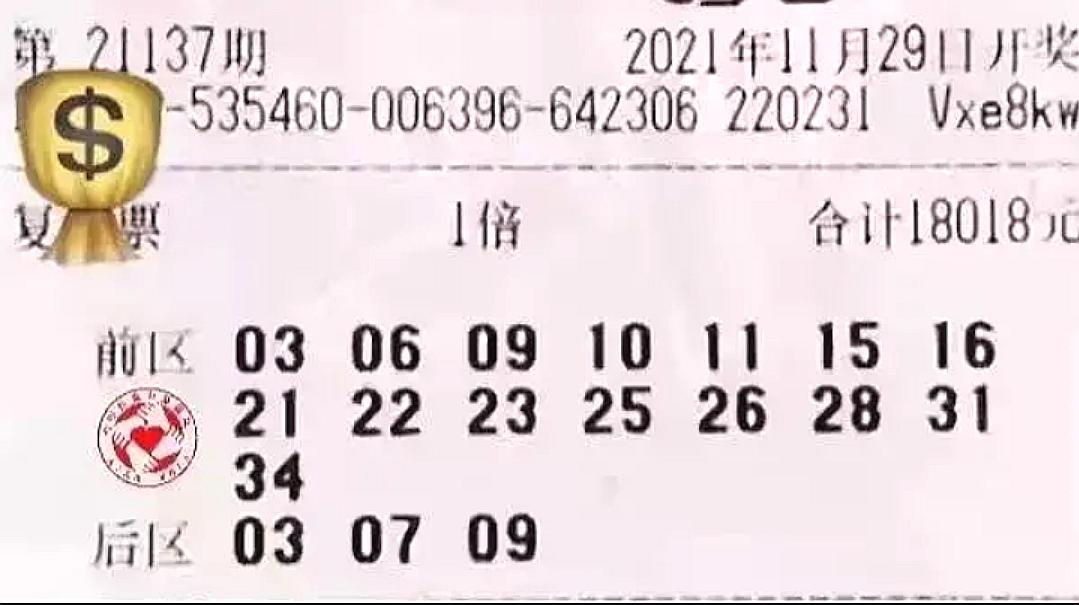 大乐透号码分析器，理性投注的智慧之选