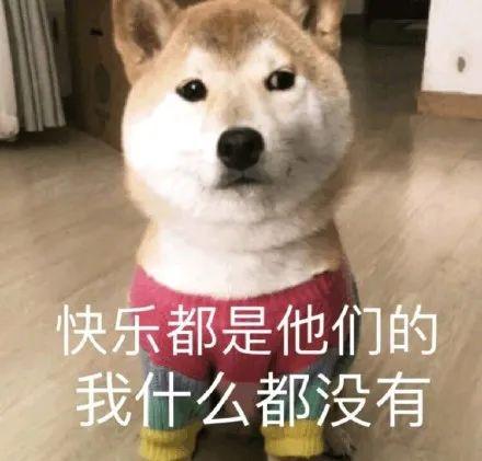 福彩体彩彩票网预测，理性与幸运的交织