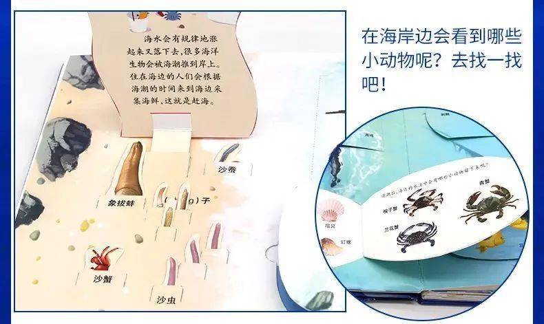 3D太湖字谜