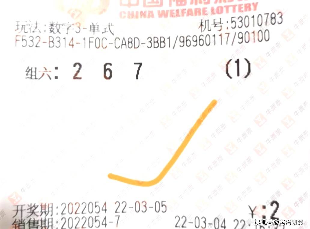 中国福利彩票2021100期，梦想与希望的交汇点