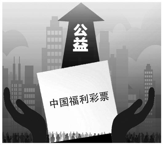 福彩中心14名领导被查，反腐风暴下的透明与责任重塑