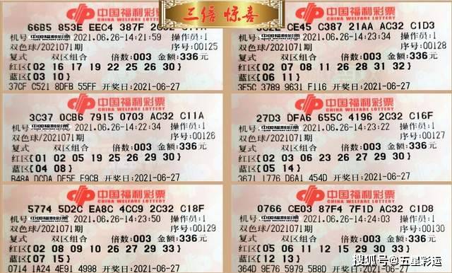 揭秘南粤风采36选7，开奖盛宴与彩民热盼