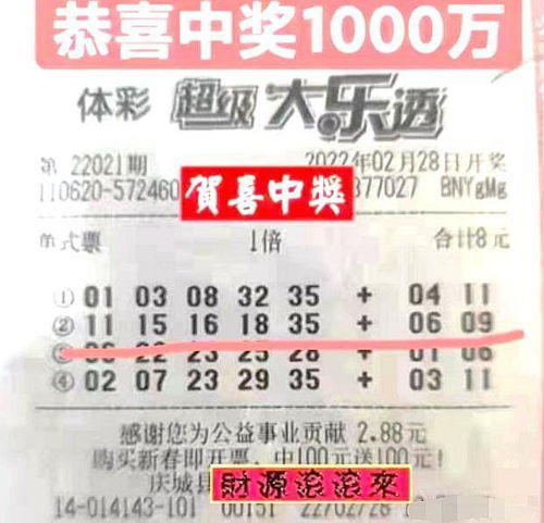 2021年双色球114期开奖结果深度解析，幸运的数字与彩民的期待