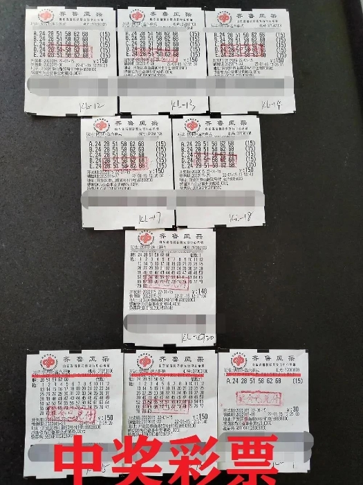 山东双色球中奖票图片，幸运的瞬间与生活的奇迹
