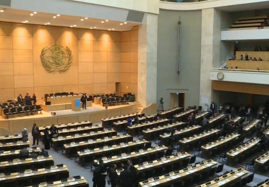 澳门六开彩，2024年今晚开奖结果的神秘面纱