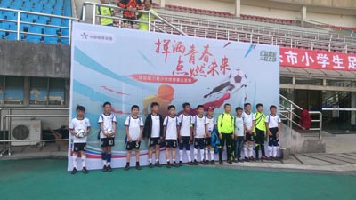 中国体彩中心客服，连接梦想与现实的桥梁