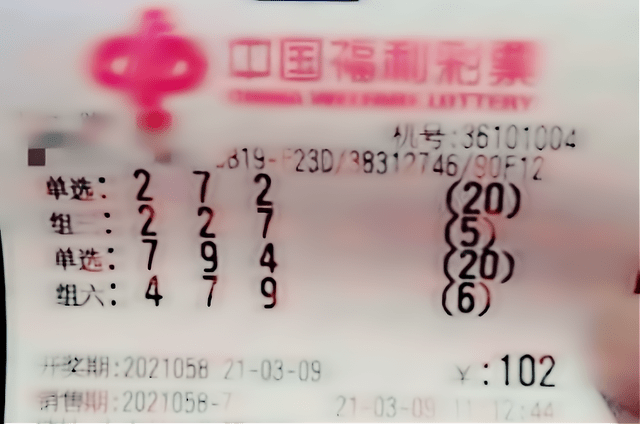 粉百合下的福彩3D，幸运与希望的交织