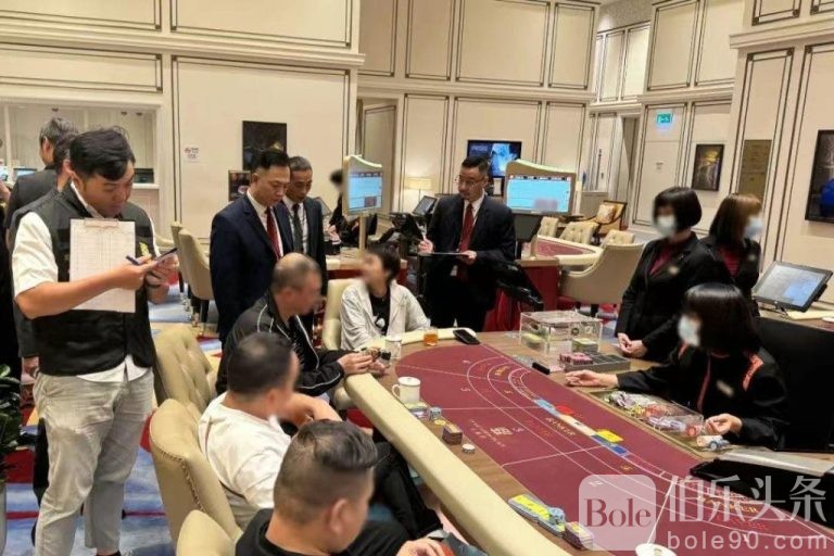 澳门6大赌牌持有人名单公布，最新视频揭秘与深度分析