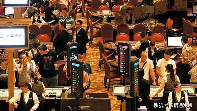 澳门6大赌牌持有人员名单查询，全面解析与实用指南