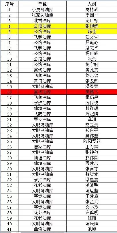 澳门6大赌牌持有人员名单最新版揭秘，深度解析与下载指南