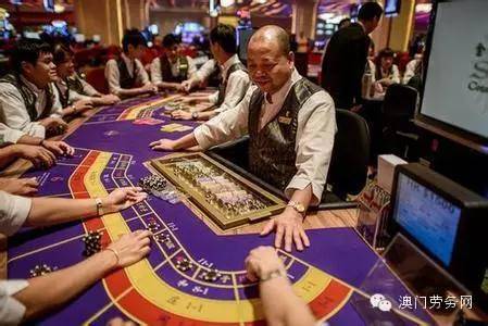 澳门6大赌牌持有人数揭秘，背后的故事与视频播放热潮
