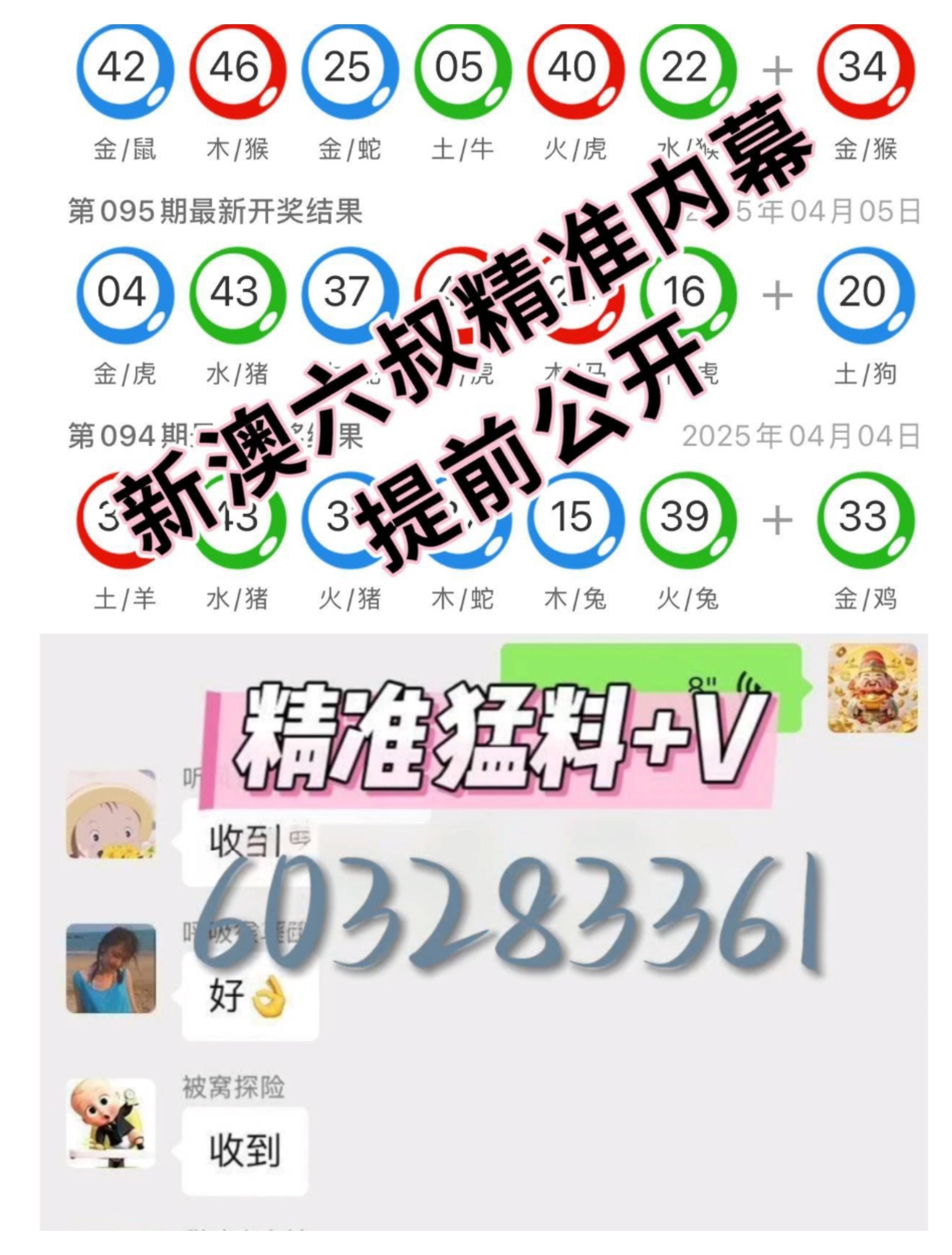 澳门6大赌牌持有人数查询最新网站下载指南