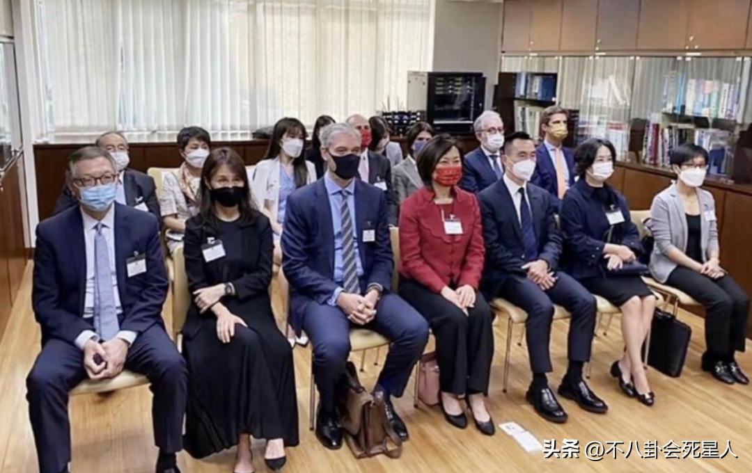 澳门6张赌牌的归属与影响，深度解析与合法获取信息