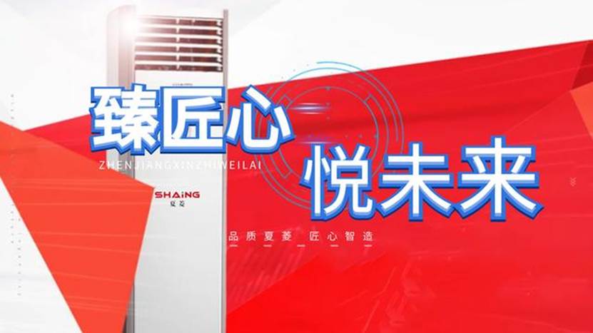 澳门6张赌牌的归属与影响，一场商业与文化的盛宴